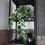Ca Nastre Arenzano
