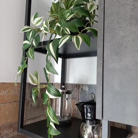 Apartament Ca Nastre